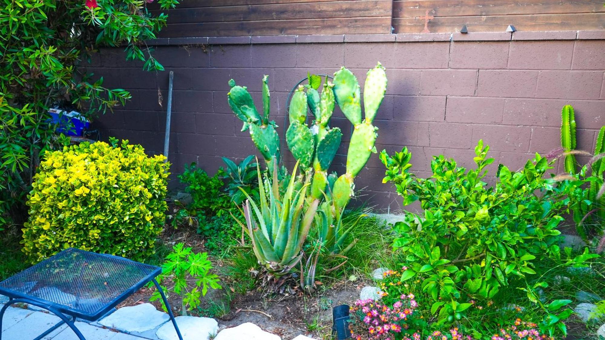 Cozy Private Guest House Los Angeles Luaran gambar