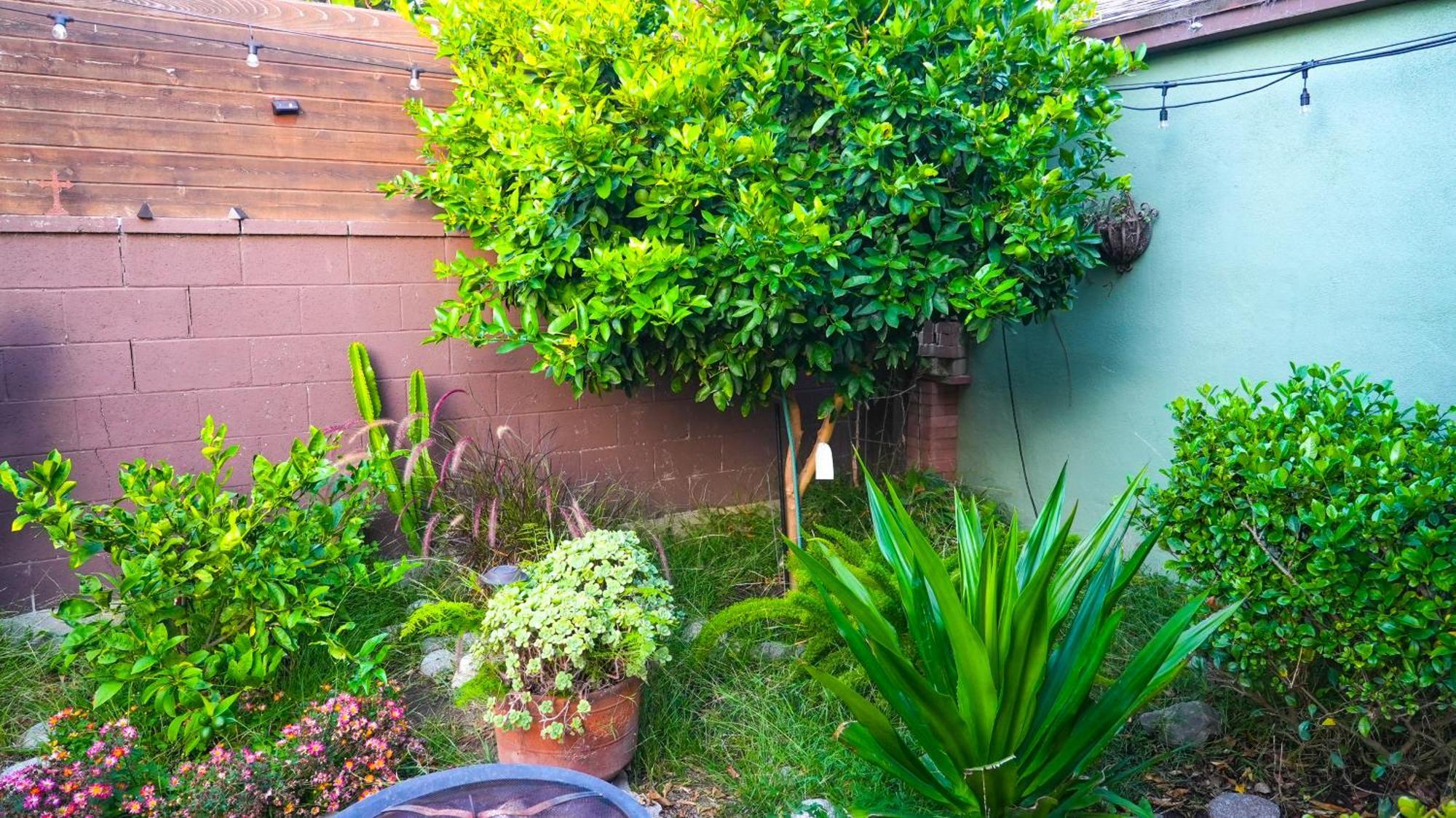 Cozy Private Guest House Los Angeles Luaran gambar