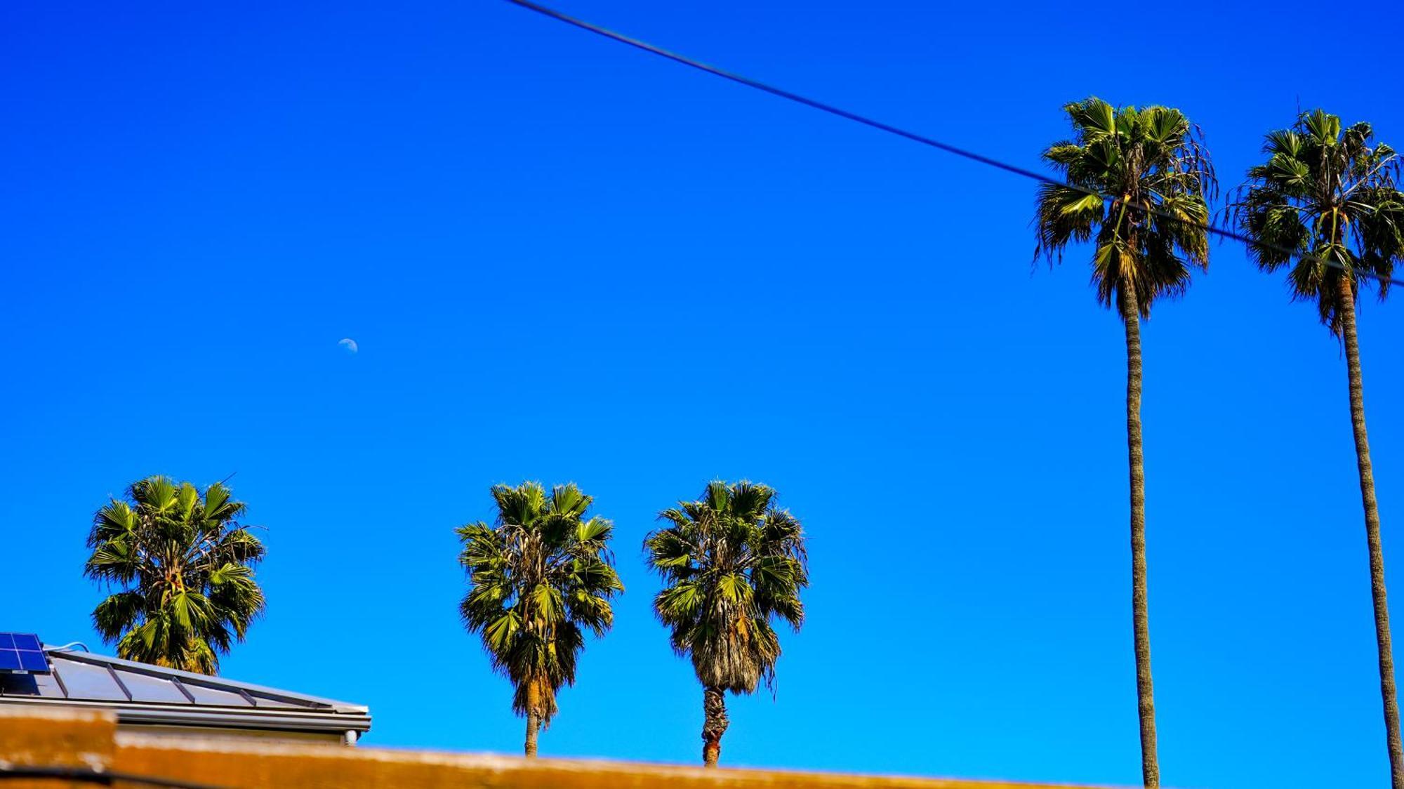 Cozy Private Guest House Los Angeles Luaran gambar